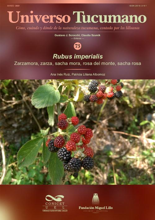 Universo Tucumano 73 (2021): Rubus imperalis