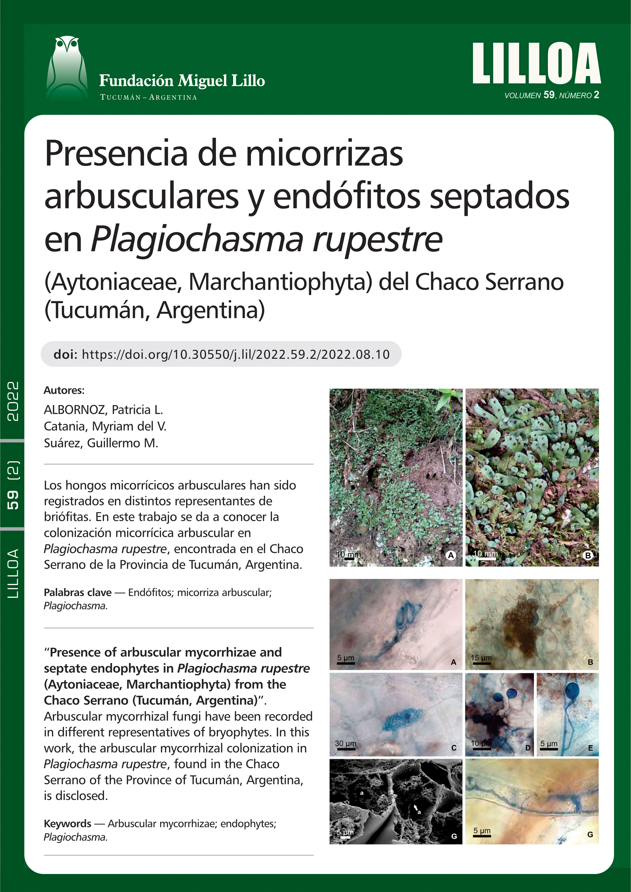 Presencia de micorrizas arbusculares y endófitos septados en Plagiochasma rupestre (Aytoniaceae, Marchantiophyta) del Chaco Serrano (Tucumán, Argentina)