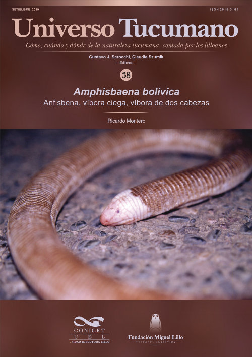 Universo Tucumano (38) (2019): Anfisbena, víbora ciega, víbora de dos cabezas