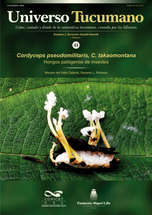 Universo Tucumano (41) (2019): Hongos patógenos de insectos