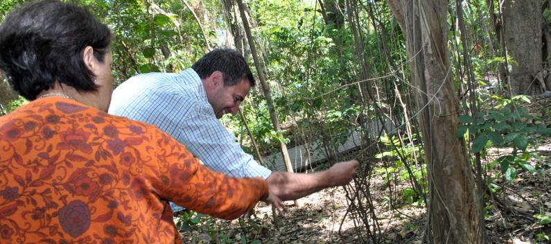 Directora del Jardín Botánico de FML e Ing. González Campaña revisan las hojas de un árbol.