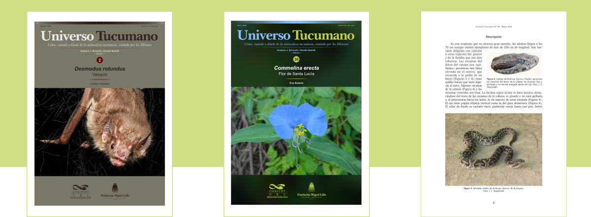 Universo Tucumano. Vista previa