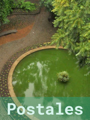Fotos del Jardín Botánico Lillo: postales