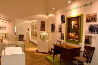 Sala del Museo Histórico Lillo