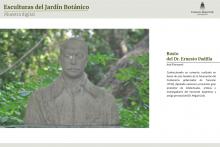 Busto del Dr. Ernesto Padilla (José Fioravanti, Fundación Miguel Lillo)