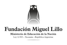 Archivo:2020-logo.svg