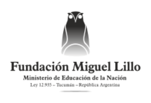 2020-logo.svg