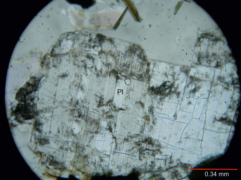 Archivo:321-Plagioclasa sin nicoles.jpg