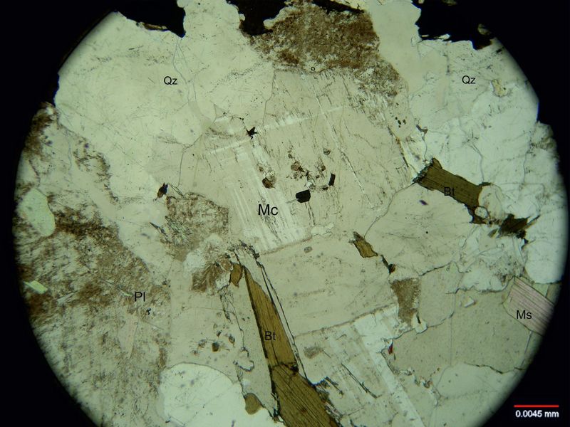 Archivo:113-Microclino sin nicoles.jpg