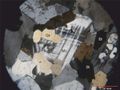 Miniatura de la versión del 12:51 31 mar 2022