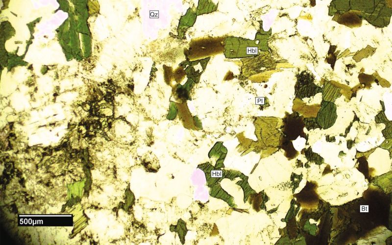 Archivo:FML-CD-166-SN x4b.jpg