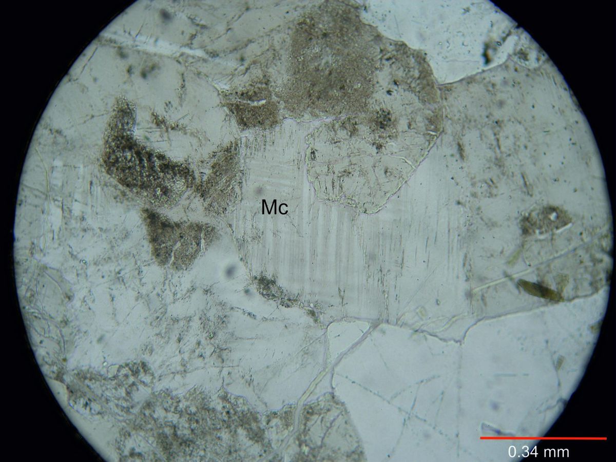 Archivo:111-Microclino s nicoles.jpg - Colecciones Fundación Miguel Lillo