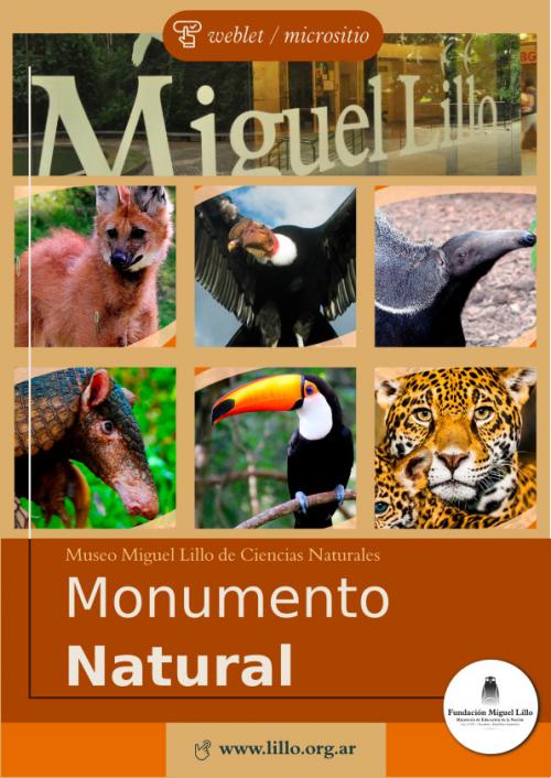 Monumento Natural, Fundación Miguel Lillo