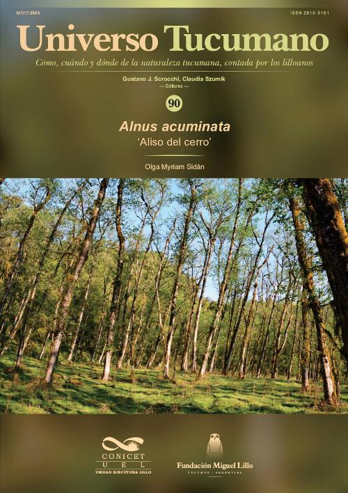 Universo Tucumano 90 (2023): Aliso del cerro (Alnus acuminata)