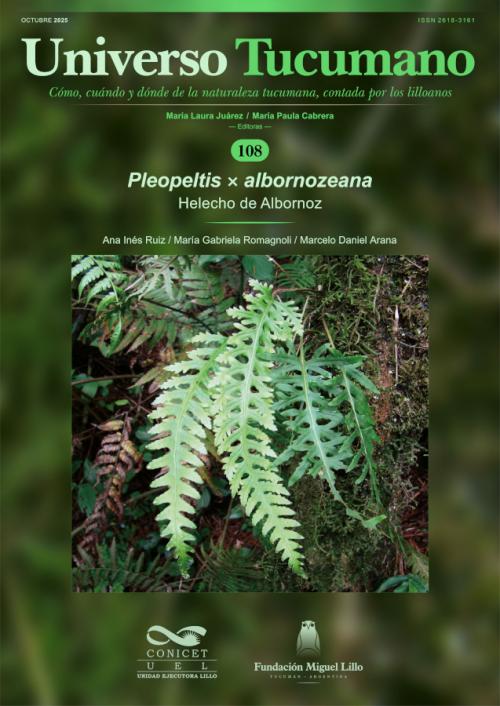 Universo Tucumano 108 (2025): Helecho de Albornoz (Pleopeltis × albornozeana)