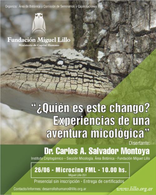 Seminarios FML (2024): ¿Quién es este chango? Experiencias de una aventura micológica