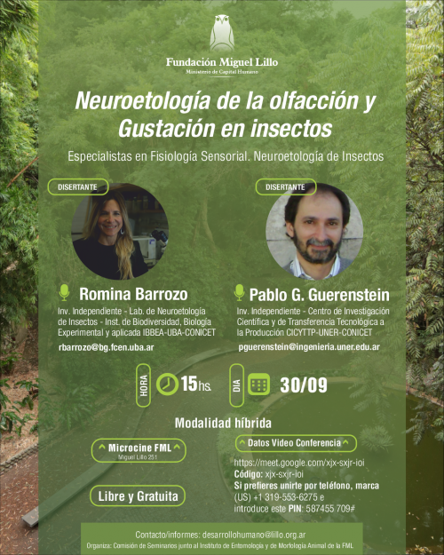 Seminarios FML (2025): Neuroetología de la olfacción y gustación en insectos