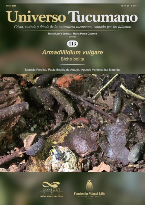 Universo Tucumano 123 (2026): bicho bolita (Armadillidium vulgare)