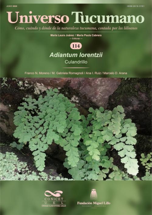 Universo Tucumano 114 (2026): Culandrillo (Adiantum lorentzii)