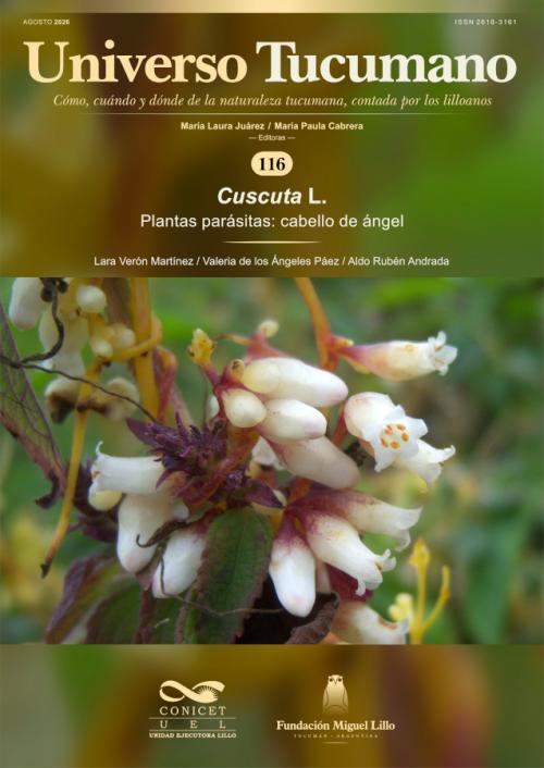 Universo Tucumano 115 (2026): Plantas parásitas: cabello de ángel (Cuscuta L.)