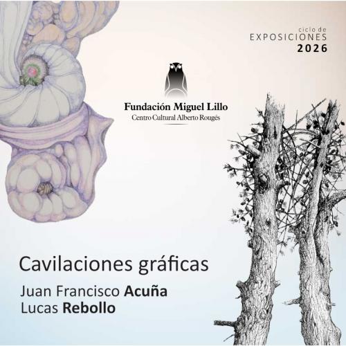 Juan Francisco Acuña y Lucas Rebollo: Cavilaciones gráficas