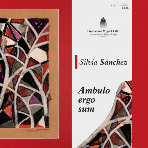 Silvia Sánchez: Ambulo ergo sum