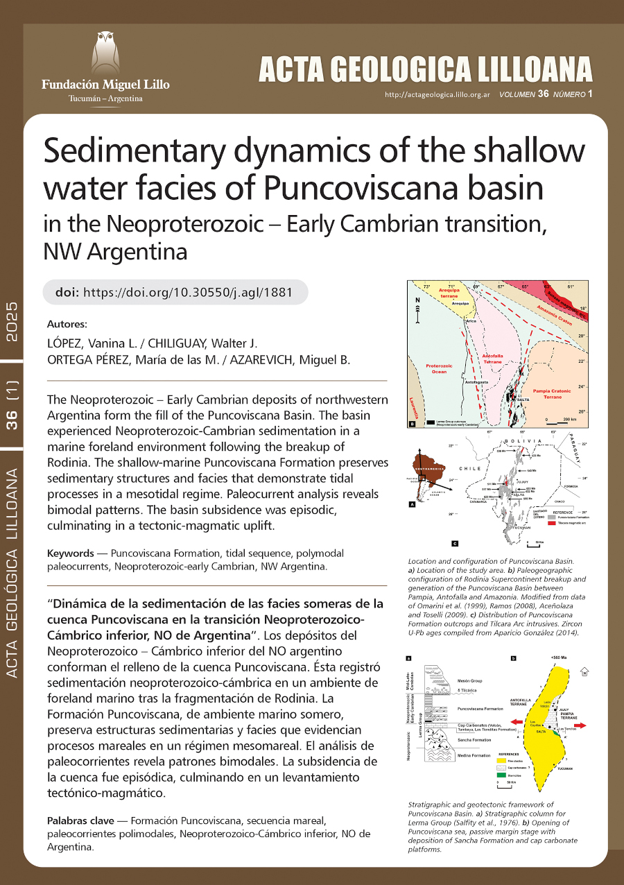 Dinámica de la sedimentación de las facies someras de la cuenca Puncoviscana en la transición Neoproterozoico- Cámbrico inferior, NO de Argentina