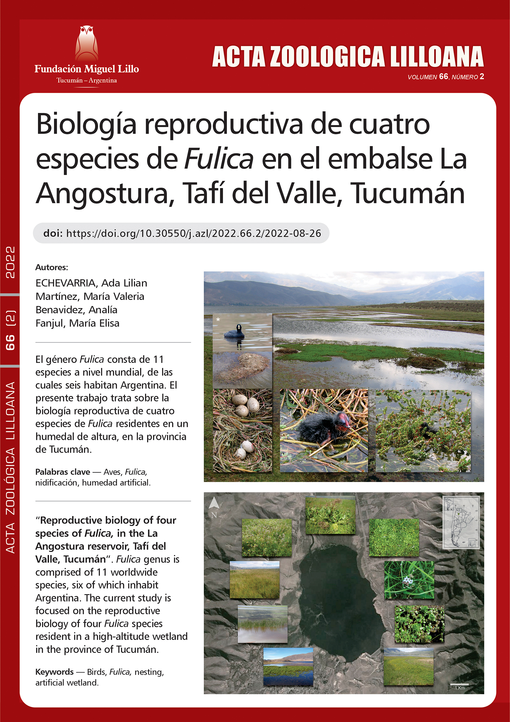 Biología reproductiva de cuatro especies de Fulica, en el embalse La Angostura, Tafí del Valle, Tucumán