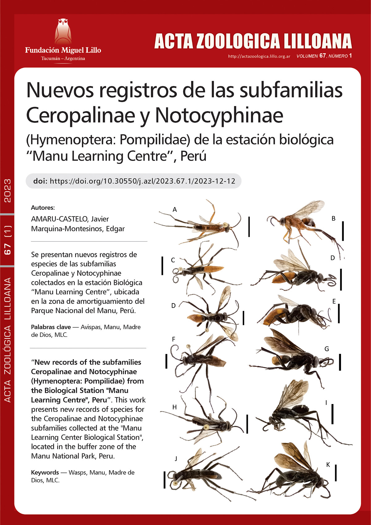 Nuevos registros de las subfamilias Ceropalinae y Notocyphinae (Hymenoptera: Pompilidae) de la estación biológica “Manu Learning Centre”, Perú