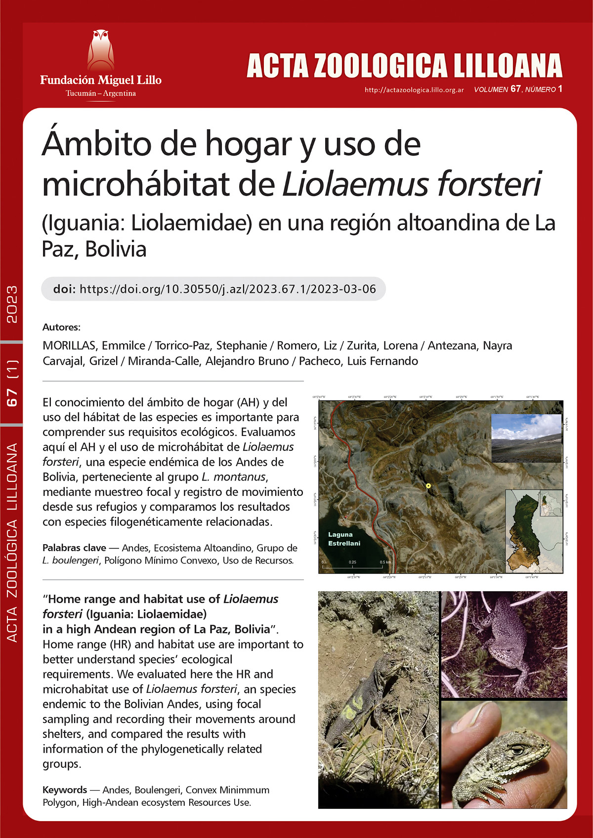 Ámbito de hogar y uso de microhábitat de Liolaemus forsteri (Iguania: Liolaemidae) en una región altoandina de La Paz, Bolivia