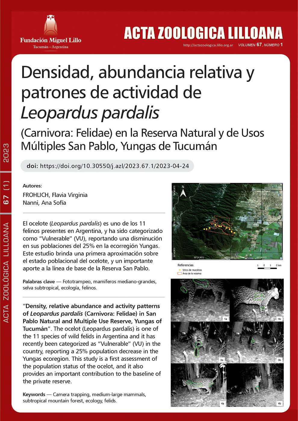 Densidad, abundancia relativa y patrones de actividad de Leopardus pardalis (Carnivora: Felidae) en la Reserva natural y de usos múltiples San Pablo, Yungas de Tucumán