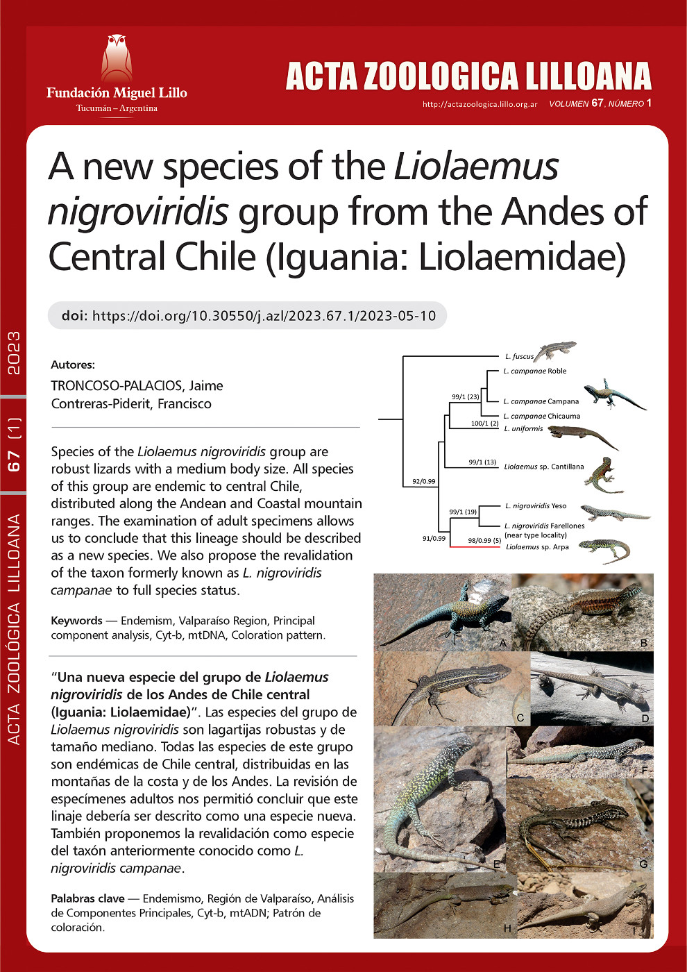 Una nueva especie del grupo de Liolaemus nigroviridis de los Andes de Chile central (Iguania: Liolaemidae)