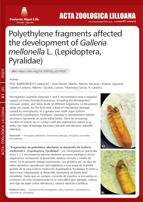 Polyethylene fragments affected the development of Galleria mellonella L. (Lepidoptera, Pyralidae)