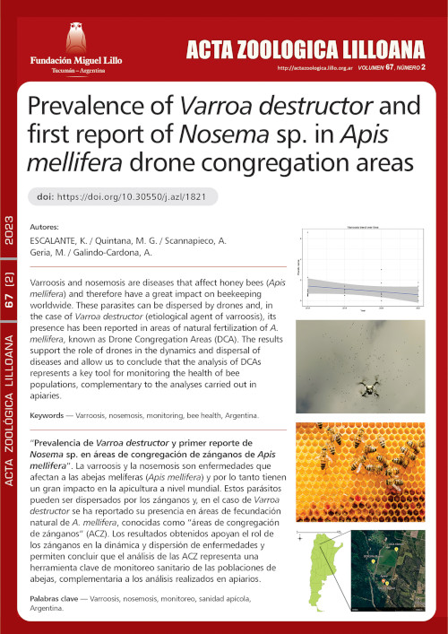 Prevalence of Varroa destructor and first report of Nosema sp. in Apis mellifera drone congregation areas