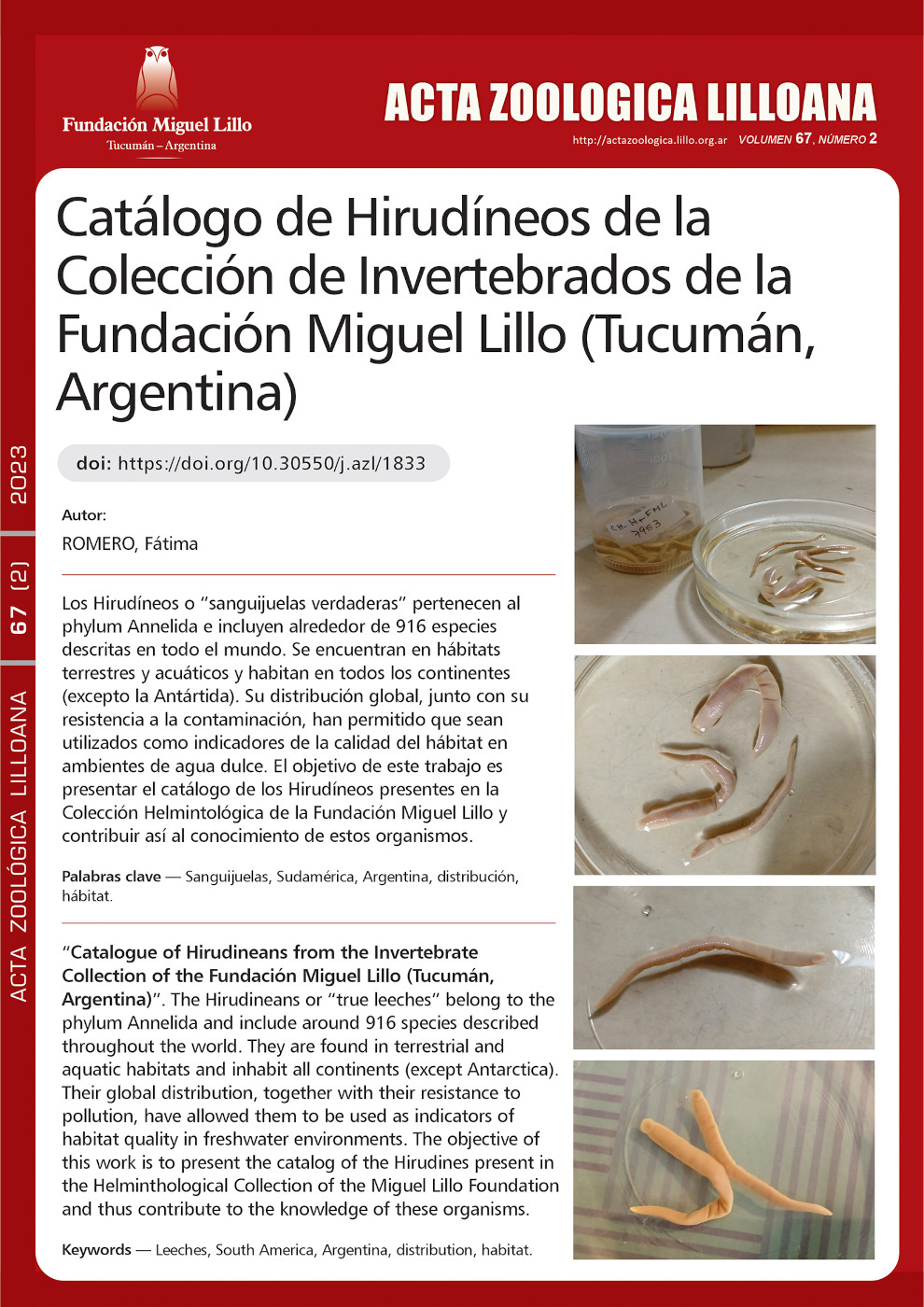 Catálogo de Hirudíneos de la Colección de Invertebrados de la Fundación Miguel Lillo (Tucumán, Argentina)
