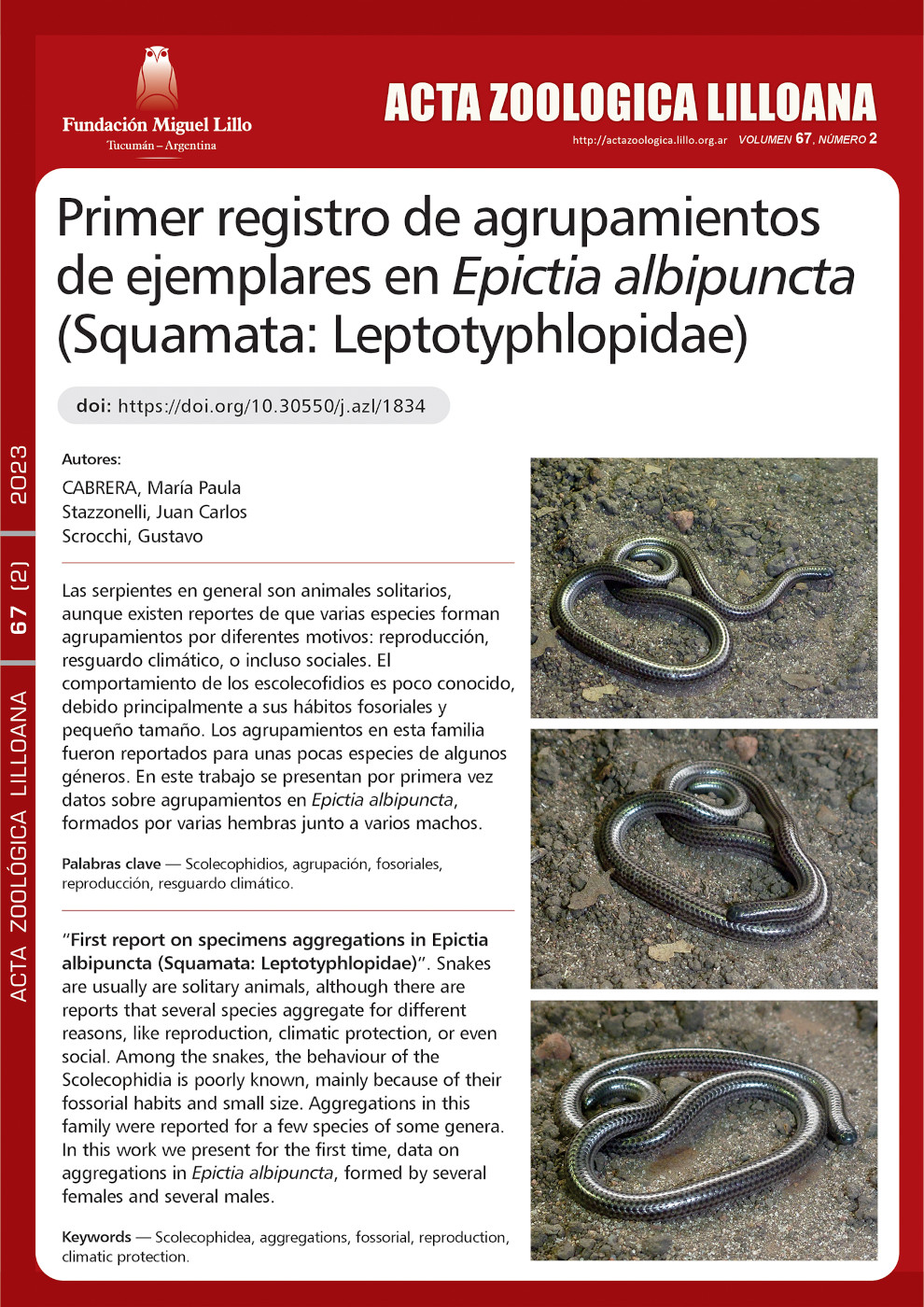 Primer registro de agrupamientos de ejemplares en Epictia albipuncta (Squamata: Leptotyphlopidae)