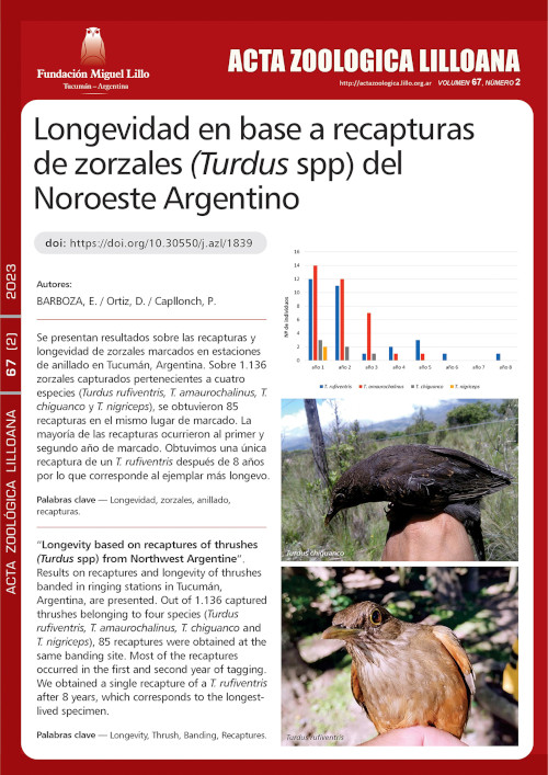 Longevidad en base a recapturas de zorzales (Turdus spp) del Noroeste Argentino