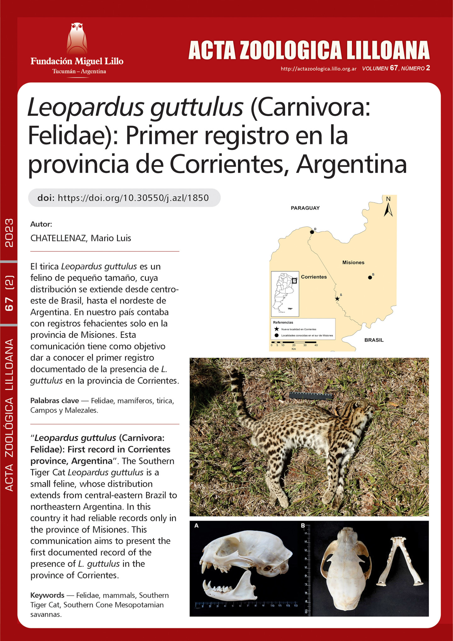 Leopardus guttulus (Carnivora: Felidae): Primer registro en la provincia de Corrientes, Argentina