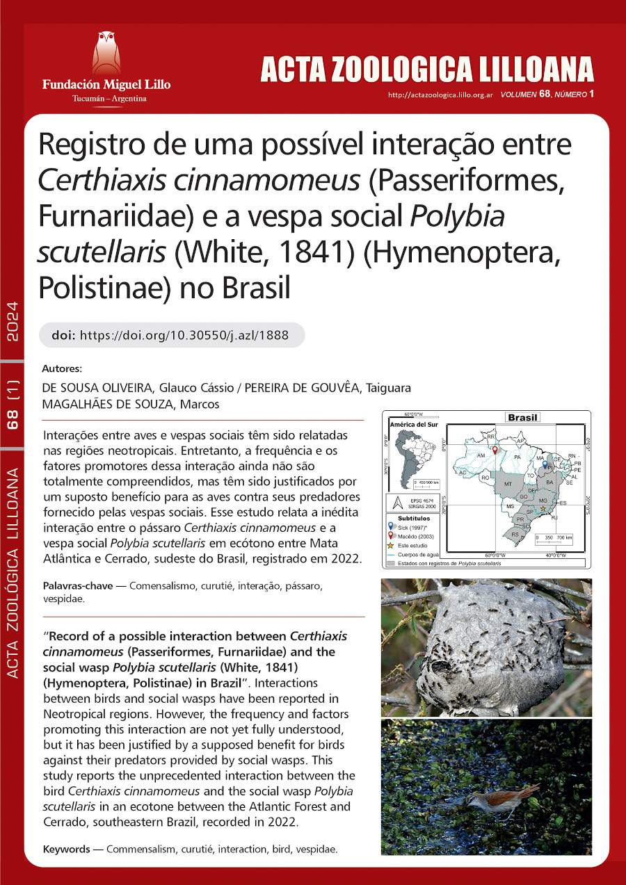 Registro de uma possível interação entre Certhiaxis cinnamomeus (Passeriformes, Furnariidae) e a vespa social Polybia scutellaris (White, 1841) (Hymenoptera, Polistinae) no Brasil