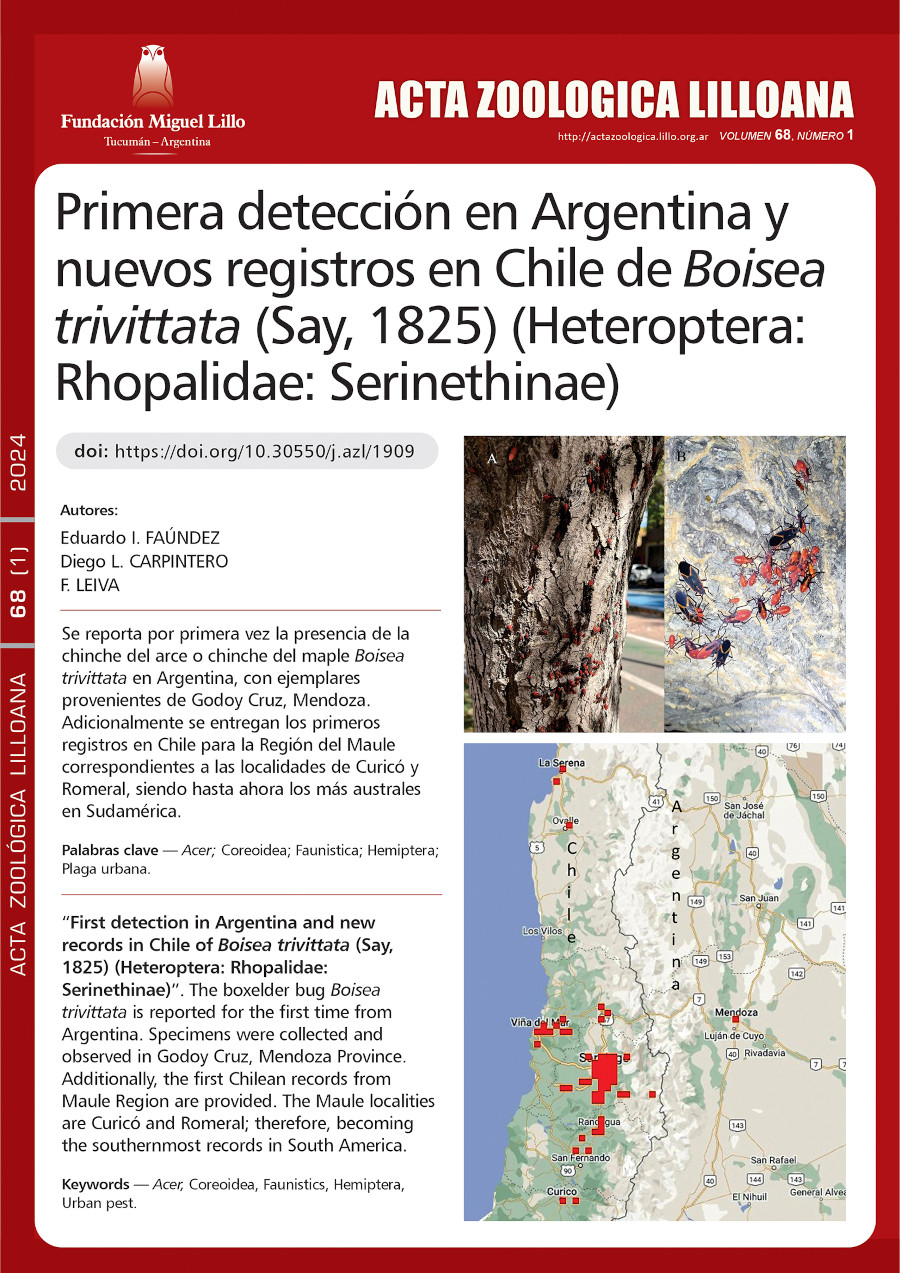 Primera detección en Argentina y nuevos registros en Chile de Boisea trivittata (Say, 1825) (Heteroptera: Rhopalidae: Serinethinae)