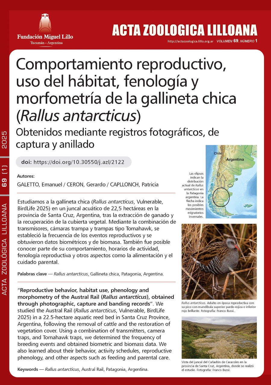 Comportamiento reproductivo, uso del hábitat, fenología y morfometría de la gallineta chica (Rallus antarcticus), obtenidos mediante registros fotográficos, de captura y anillado