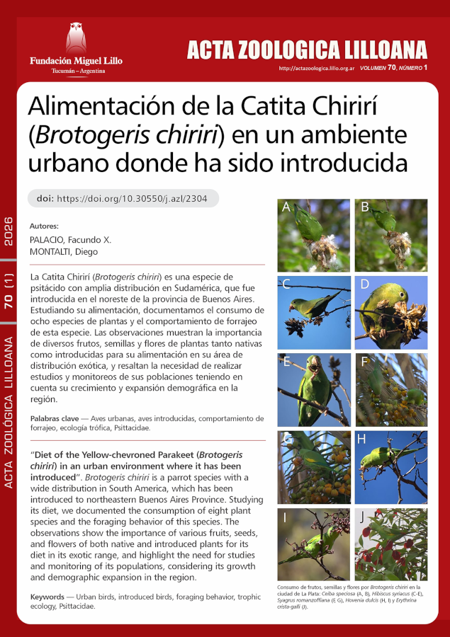 Alimentación de la Catita Chirirí (Brotogeris chiriri) en un ambiente urbano donde ha sido introducida