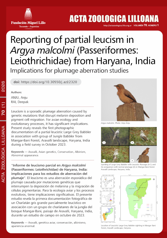 Informe de leucismo parcial en Argya malcolmi (Passeriformes: Leiothrichidae) de Haryana, India: implicaciones para los estudios de aberración del plumaje