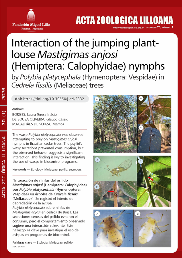 Interacción de ninfas del psílido Mastigimas anjosi (Hemiptera: Calophyidae) por Polybia platycephala (Hymenoptera: Vespidae) en árboles de Cedrela fissilis (Meliaceae)