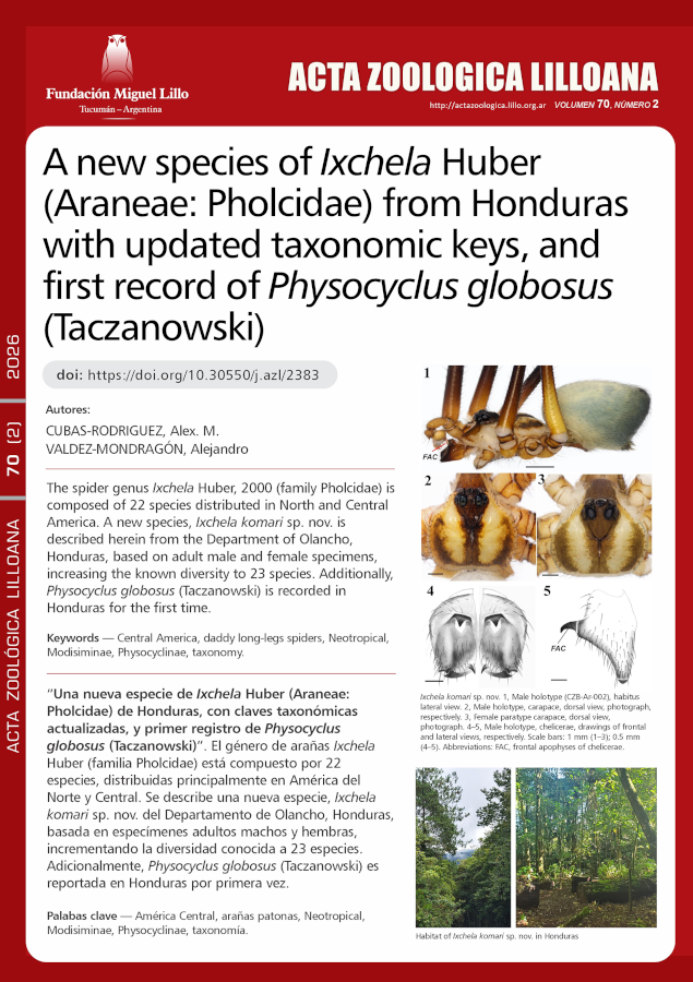 Una nueva especie de Ixchela Huber (Araneae: Pholcidae) de Honduras, con claves taxonómicas actualizadas, y primer registro de Physocyclus globosus (Taczanowski)