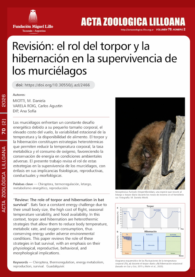 Revisión: el rol del torpor y la hibernación en la supervivencia de los murciélagos