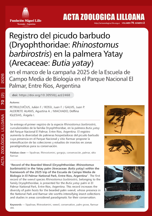 Registro del picudo barbudo (Dryophthoridae: Rhinostomus barbirostris) en la palmera Yatay (Arecaceae: Butia yatay) en el marco de la campaña 2025 de la Escuela de Campo Media de Biología en el Parque Nacional El Palmar, Entre Ríos, Argentina