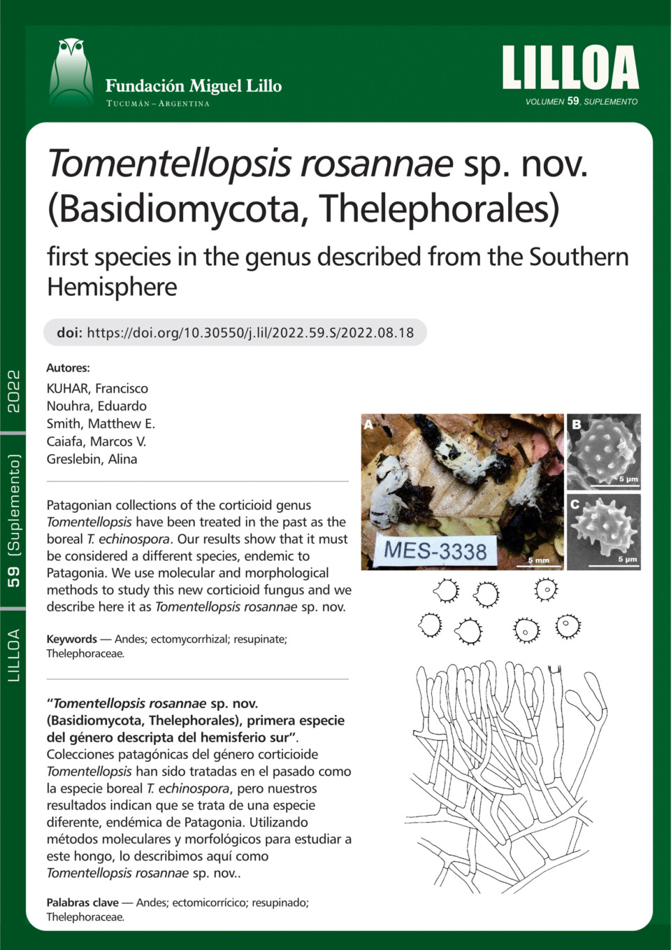 Tomentellopsis rosannae sp. nov. (Basidiomycota, Thelephorales), primera especie del género descripta del hemisferio sur