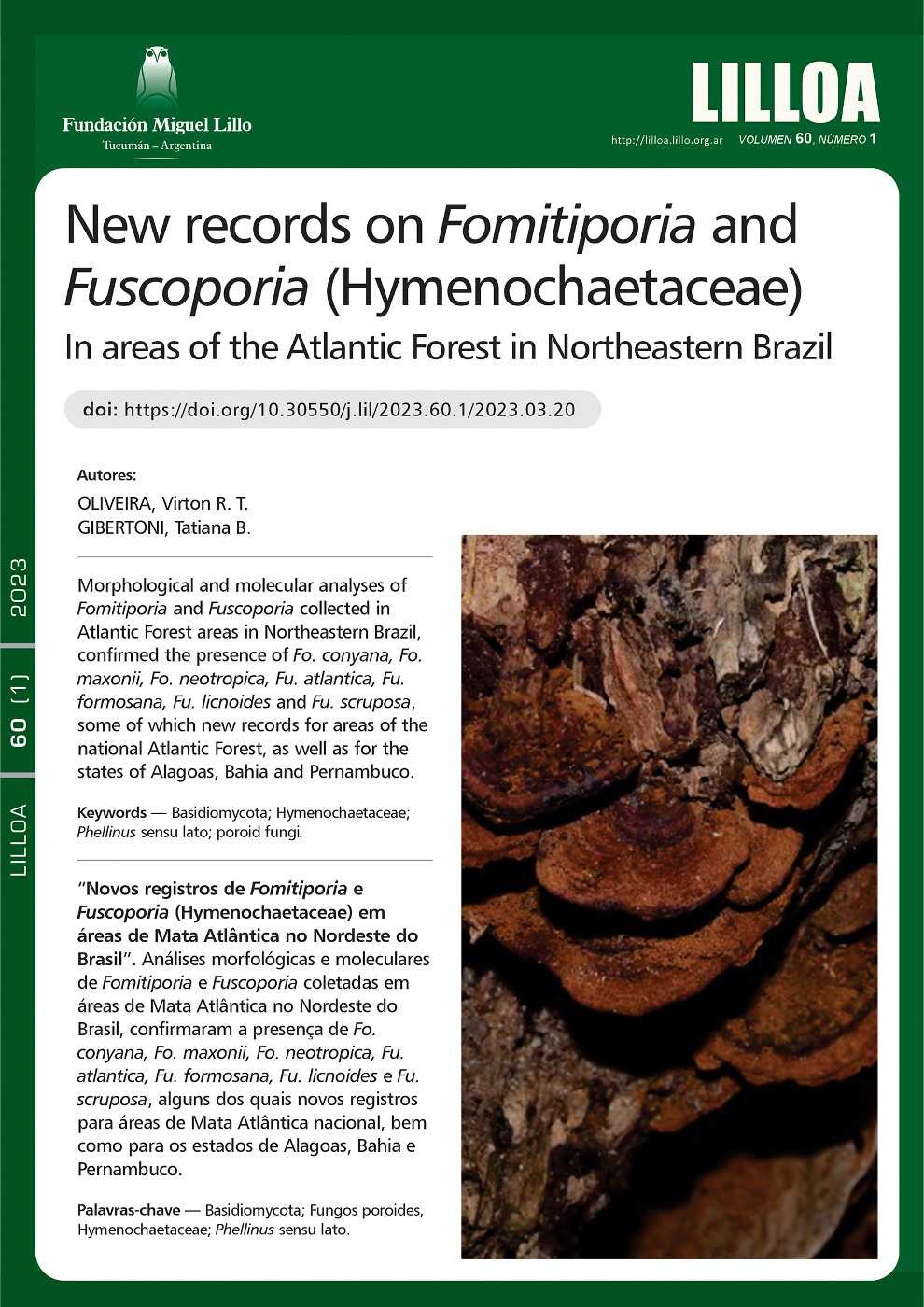 New records on Fomitiporia and Fuscoporia (Hymenochaetaceae) in areas of the Atlantic Forest in Northeastern Brazil: Fomitiporia and Fuscoporia in Northeast Brazil