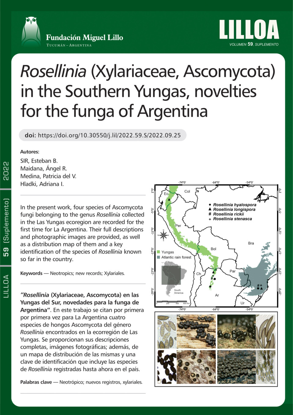 Rosellinia (Xylariaceae, Ascomycota) en las Yungas del Sur, novedades para la funga de Argentina 